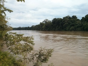 Lacandon Selva: Las Guacamayas looking west on the Rio Lacantun.